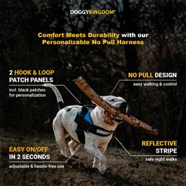 DOGGYKINGDOM Non Pull Dog Harness with Patch Panels and Handle, Adjustable, Reflective, No Choke, Heavy Duty Easy On Service Dog Vest Harnesses for Medium Large Small Sized Dogs - Black, M