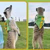 Refoiner Cat Harness for Cats, Ferret, Harness, Rabbit, Harness, Towing