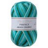 Utopia Crafts Aran Ombre Multicolour Knitting and Crochet Yarn, 300g