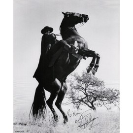 ZORRO - GUY WILLIAMS 03