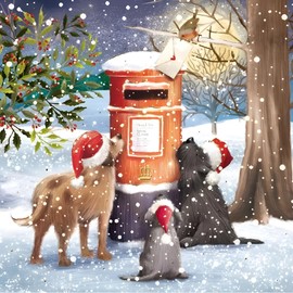 GBCC Charity Christmas Cards Pack of 10 - Charity Christmas Cards 2024 with Dogs and Post Box Design - Eco-Friendly Xmas Cards Multipack with Envelopes