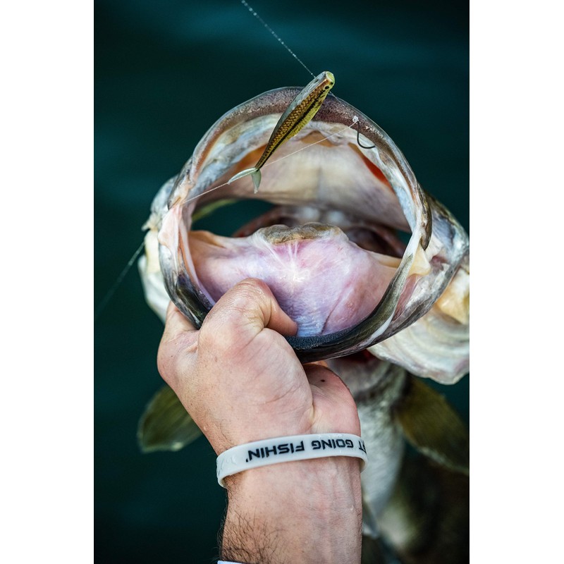 PowerBait The Champ Minnow HD Bluegill 3.4in | 8.5cm