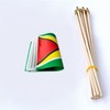 TSMD Guyana Stick Flag Guyanese Small Mini Hand Held Flags,5x8