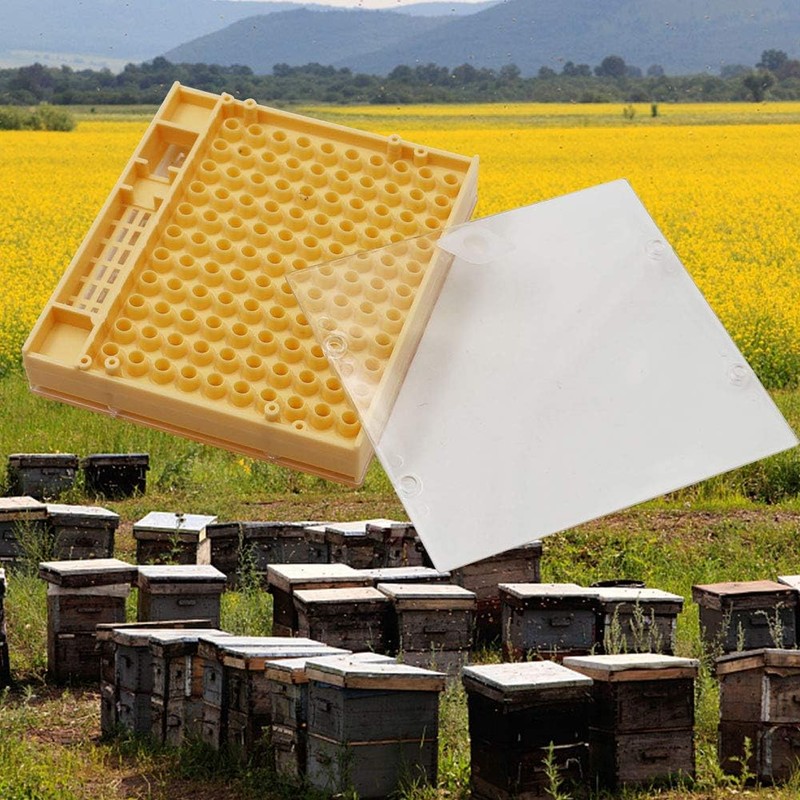 Beekeeping Queen Bee Rearing Plastic Breeding Cell Cup Kit for