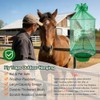 4 Pack Reusable Outdoor Fly Traps with Bait Tray
