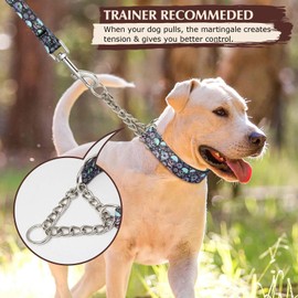 Martingale Collar for Dogs with Skull Design, Trainer Approved Limited Slip Collar with Stainless Steel Chain, Adjustable No Choke Dog Collar, Breeds Training, Walking, Hunting (M)