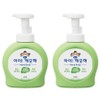 iClean Antibacterial Foam Hand Soap Green Grape Fragrance, 490ml, 2 Pieces / 아이깨끗해 항균 폼 핸드솝 청포도향, 490ml, 2개