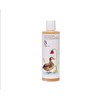 Little B Childrens Hair & Body Wash