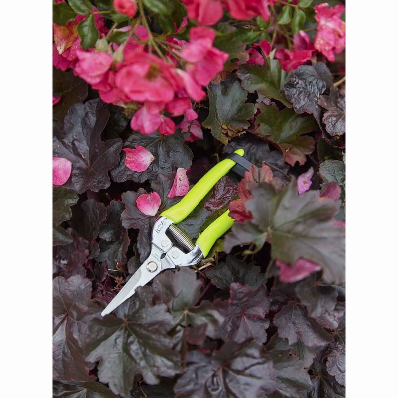 Burgon & Ball Flower and Fruit Snip, Fluorescent Yellow