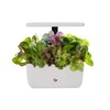 AeroGarden Harvest 2.0, Indoor Garden Hydroponic System with LED Grow