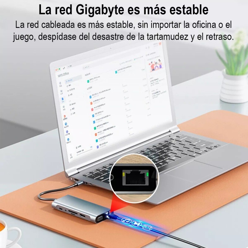 GOMITA 11 En 1 Usb-c To Hdtv +vga+lan+usb+tf+sd+pd+audio