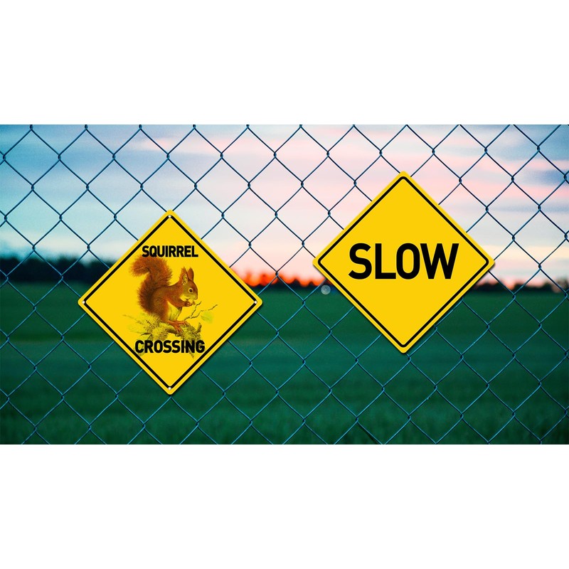 BTHUKO Squirrel Crossing 12" X 12" Aluminum Sign