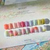 Nekozel Neko Monet syrup gel 10-piece set + 2 top