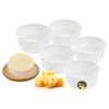 PetriStor 5 pcs Soft Cheese Mold for Cheese Making 0.8QT