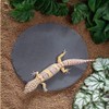 Reptile Basking Platform Rock Tortoise Habitat Slate Rock for Reptiles