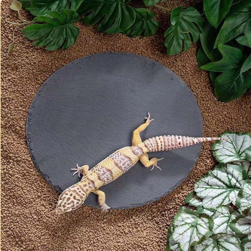 Reptile Basking Platform Rock Tortoise Habitat Slate Rock for Reptiles