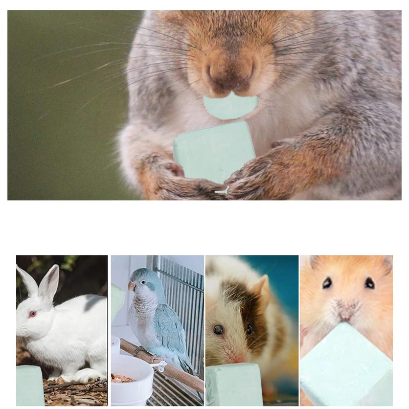 PENKOHOME 6 Pcs Hamster Chew Toys Teeth Grinding Stones Toys