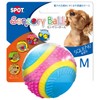 PLATZ PET SUPPLISE&FUN Dog Toy, Sensory Ball, Medium Size