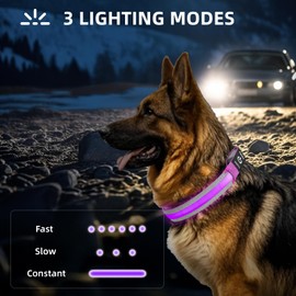 PetIsay Glow-in-The-Dark Dog Collar - Rechargeable IP68 Waterproof LED Collar with Reflective Strips & Metal Buckle Light up Collar for Night Walking, Hiking, Camping (Medium, White)