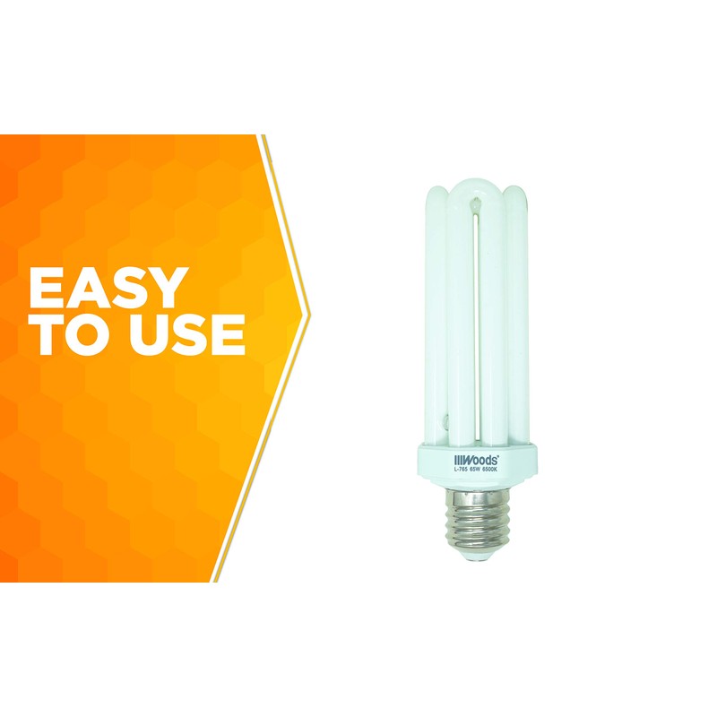 Designers Edge L765 65-Watt Fluorescent Bulb Replacement, Equivalent to 300