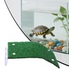 Turtle Docks for Basking | Aquatic Turtles Basking Land for