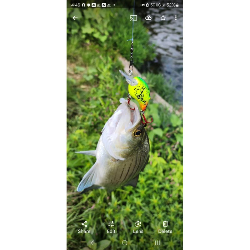 Strike Maxx Real Target Crawfish Crankbait - Red