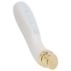 Facial Beauty Massager Hot Compress Vibration EMS Microcurrent Skin Tightening