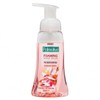 Palmolive Buy Palmolive Foaming Hand Wash Cherry Blossom 250ml Online | Chempro Chemists