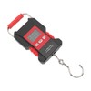 USB Charging, Fish Scale Digital Weight, High Accuracy, 110lb Backlit