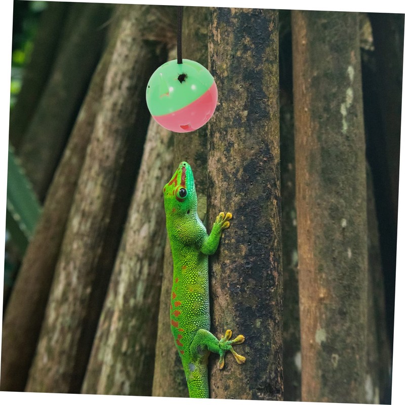 Sosoport Compact Reptile Bell Balls 7 Pack Sucker Toys for