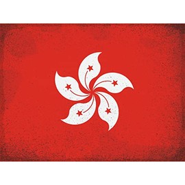 DekoNo7 Tin Sign National Flag Hong Kong Vintage 30 x 20 cm