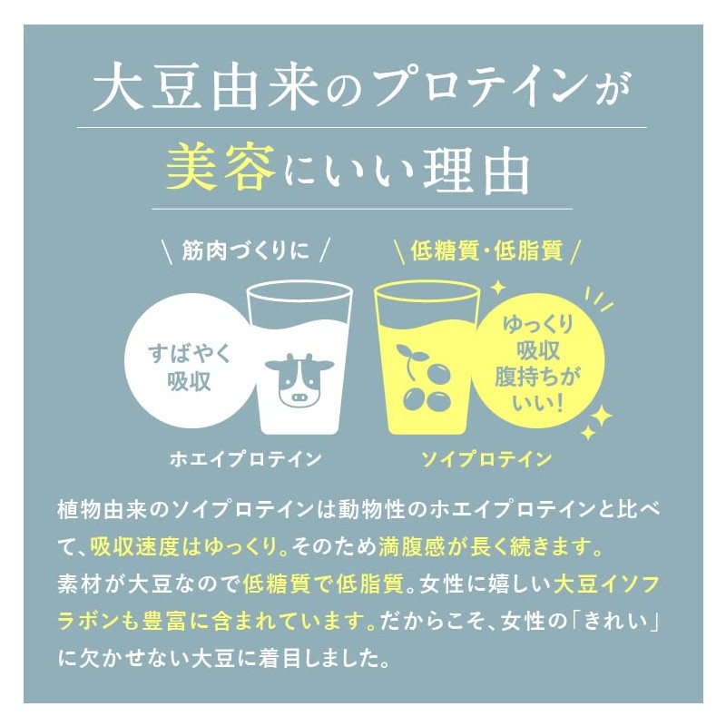 豆腐の盛田屋 お豆腐屋さんがつくったきれいなプロテイン 鉄＋葉酸〈抹茶味〉300g