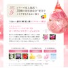 Everlife Evolution Foundation Beauty Koujun Perfect Mesh Dobote High Cover