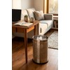 ROYAL SAPPHIRE Stainless Steel Perforated Open Dustbin Stainless Steel Trash