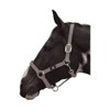Hy Grand Prix Head Collar Hot Orange Cob