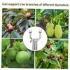 Totority 6pcs Tree Branch Support Forks Tree Crutch Kit for