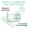 Mascarilla Facial Arcilla Puntos Control Acné-todo De Piel