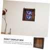 Alipis Wooden Frame Shadow Box Vintage Specimen Display Butterflies Specimen