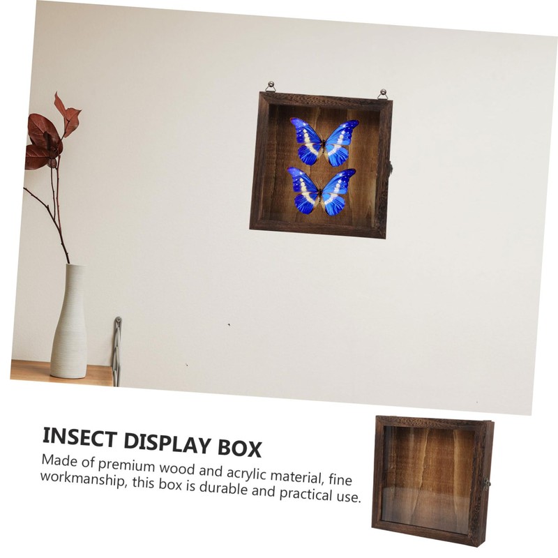 Alipis Wooden Frame Shadow Box Vintage Specimen Display Butterflies Specimen