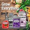 Seedlingers Root Boost Gallon Concentrate