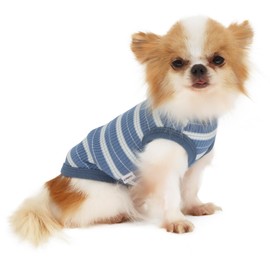 LOPHIPETS - Chaleco de camisa de perro 100% algodón acanalado para perros pequeños, ropa de té, Chihuahua, Yorkie, playera sin mangas, azul marino/S