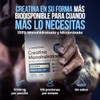 Bucked Up Creatina Monohidratada Pre Entreno Pre Workout 100 Creatina