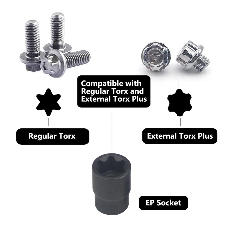 19pc External Torx Plus Socket Set 6 Point EP Socket