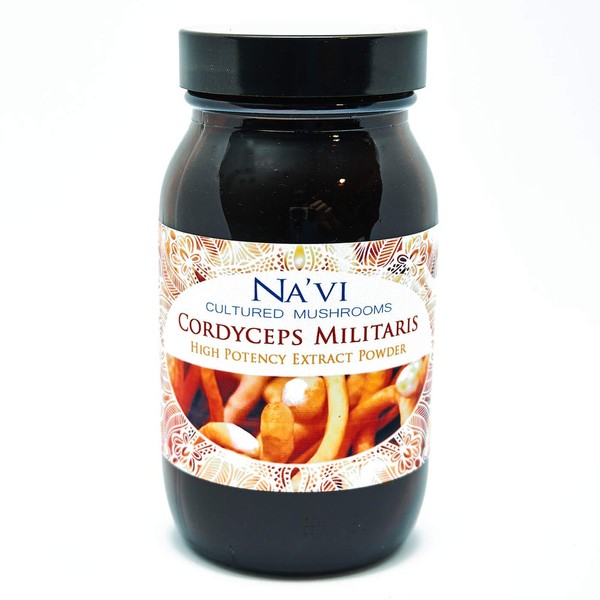 Cordyceps Militaris Mushroom Extract Powder 10:1 | Fruit Body Product (70g)