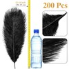 Tigeen 200 Pcs Ostrich Feathers Bulk, 12-14 Inch Large Natural