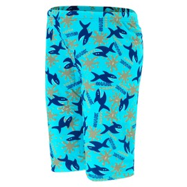 Aivtalk Traje de baño para niños de secado rápido UPF 50+ para nadar, Azul claro, Tag XL: 8-10 Years(55-66lb)