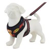 Arnés Pechera Ajustable Antitirones Para Perro Chico Mediano Redbull 3
