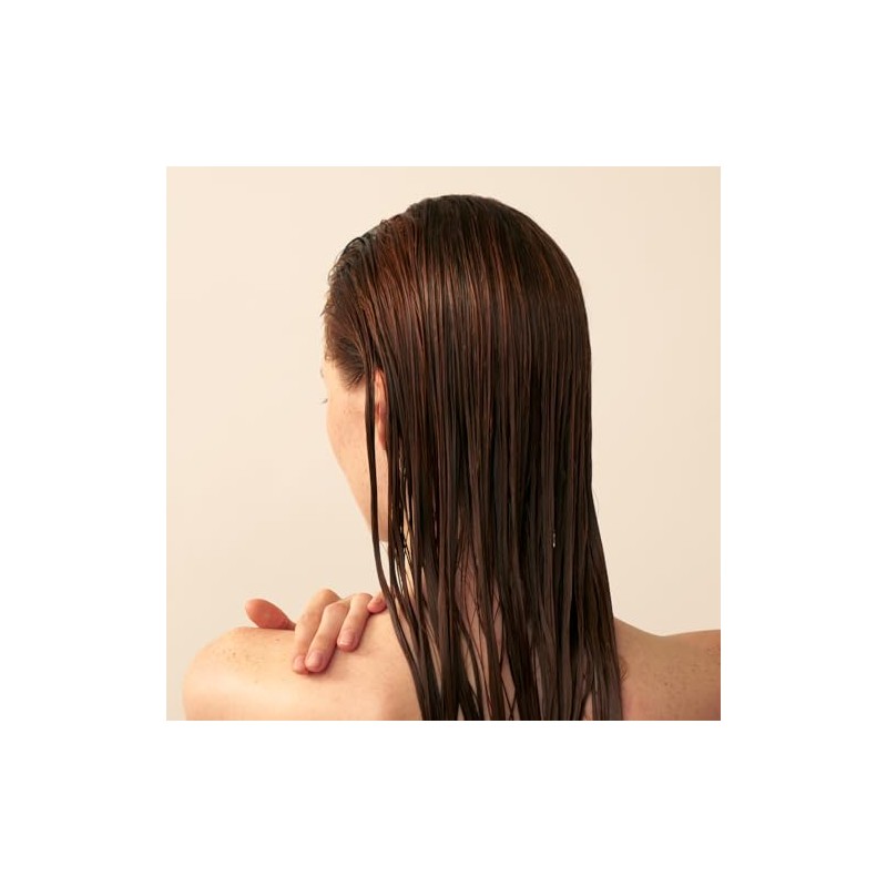 Christophe Robin Delicate Volumizing Conditioner with Rose Extracts Unisex Conditioner