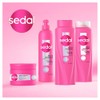 Sedal Crema Para Peinar Co Creations Ceramidas 300 Ml, Pack