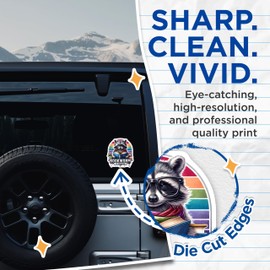 (2 Pack) Bookworm in Disguise Stickers - Cute Raccoon Stickers - Reading Stickers for Book Lovers and Kids - 5" On Longest Side - Sticks to Smooth Flat Surfaces - Made in USA - BMCS4537